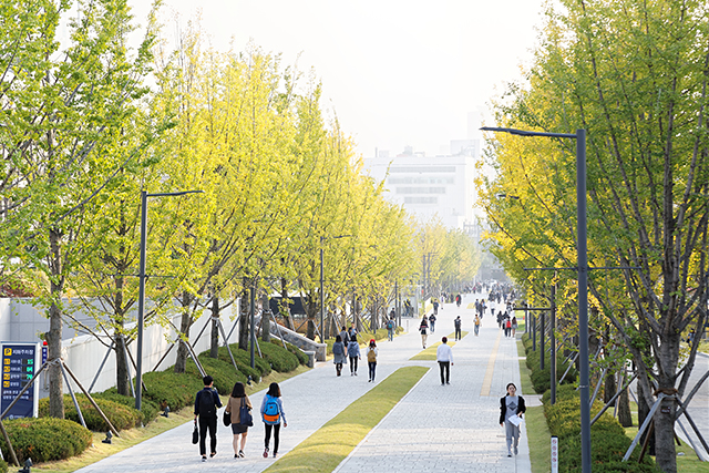 Yonsei University